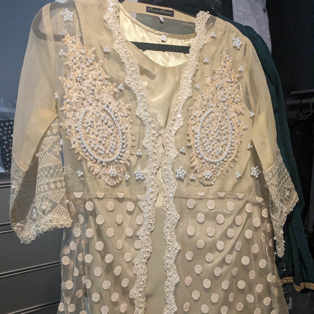 Pakistani/indian party wear